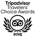 TripAdvisor 2025