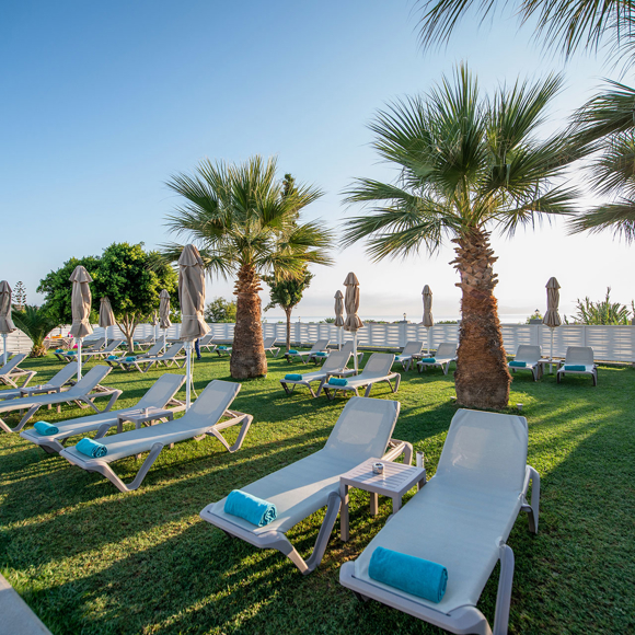 Palm-lined garden area with sunbeds and umbrellas 